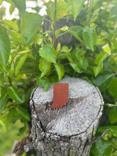 State outline, Sports and highlight Theme - Hat Patch